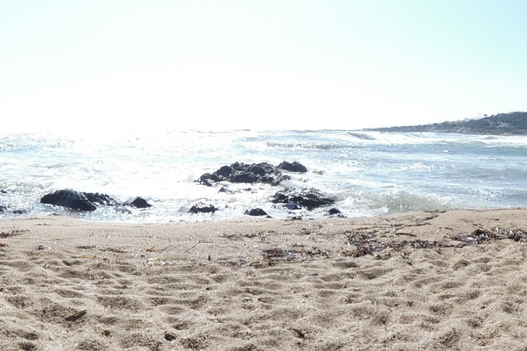Plage De La Nartelle景点图片