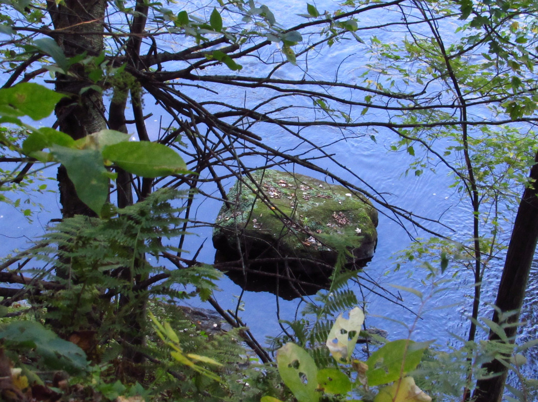 Boyd Park-欧克雷尔必去景点