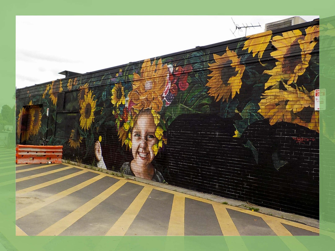 Powell Drive Playground