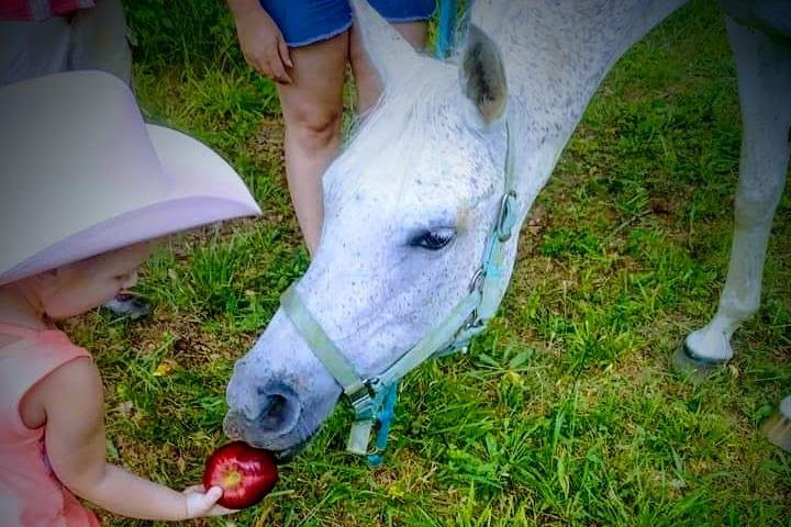 The Stables at Northeast Georgia-Carnesville必去景点