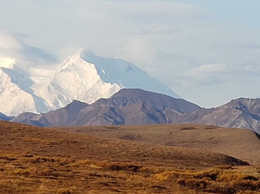 Denali Backcountry Adventure景点图片
