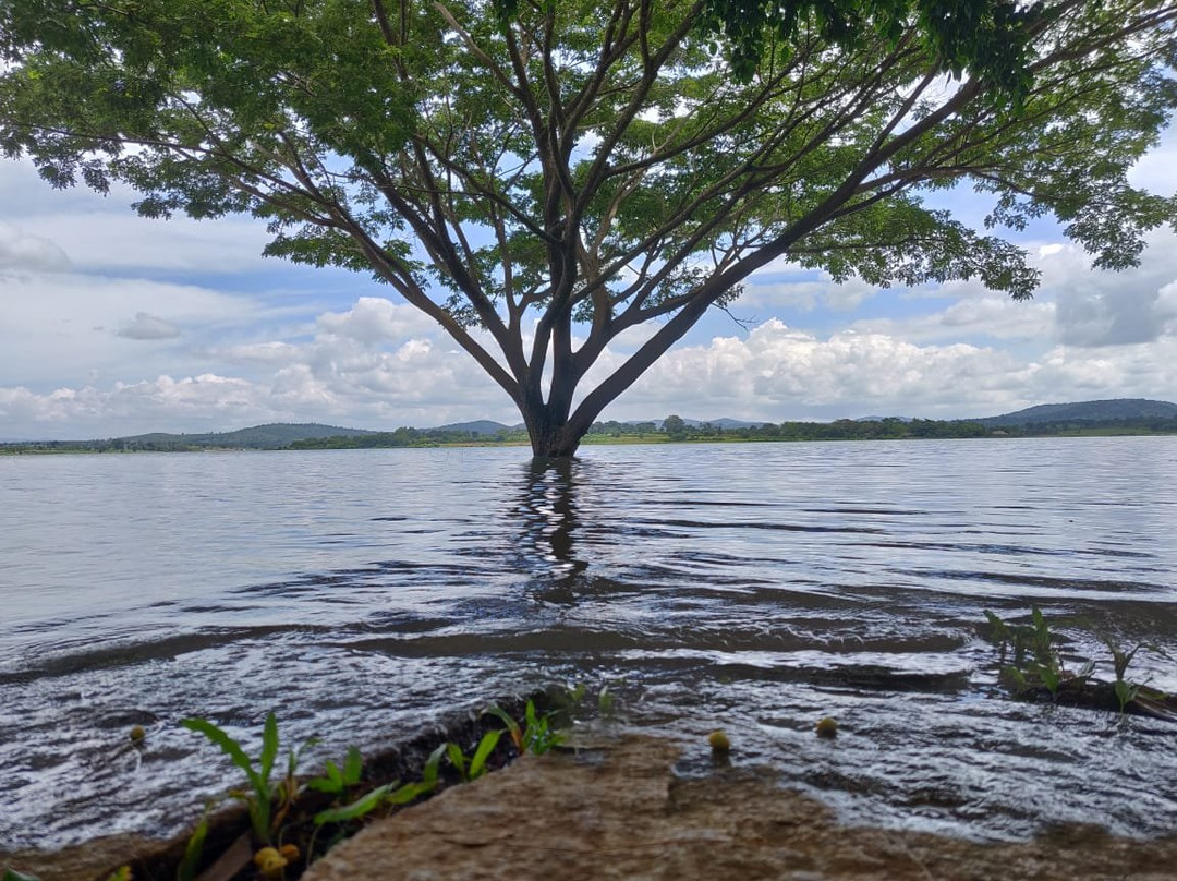 Waterwoods Lodge Kabini主图