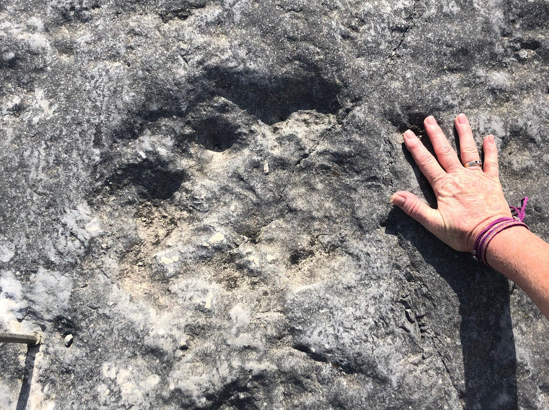 Natural Monument of the Dinosaur Footprints景点图片