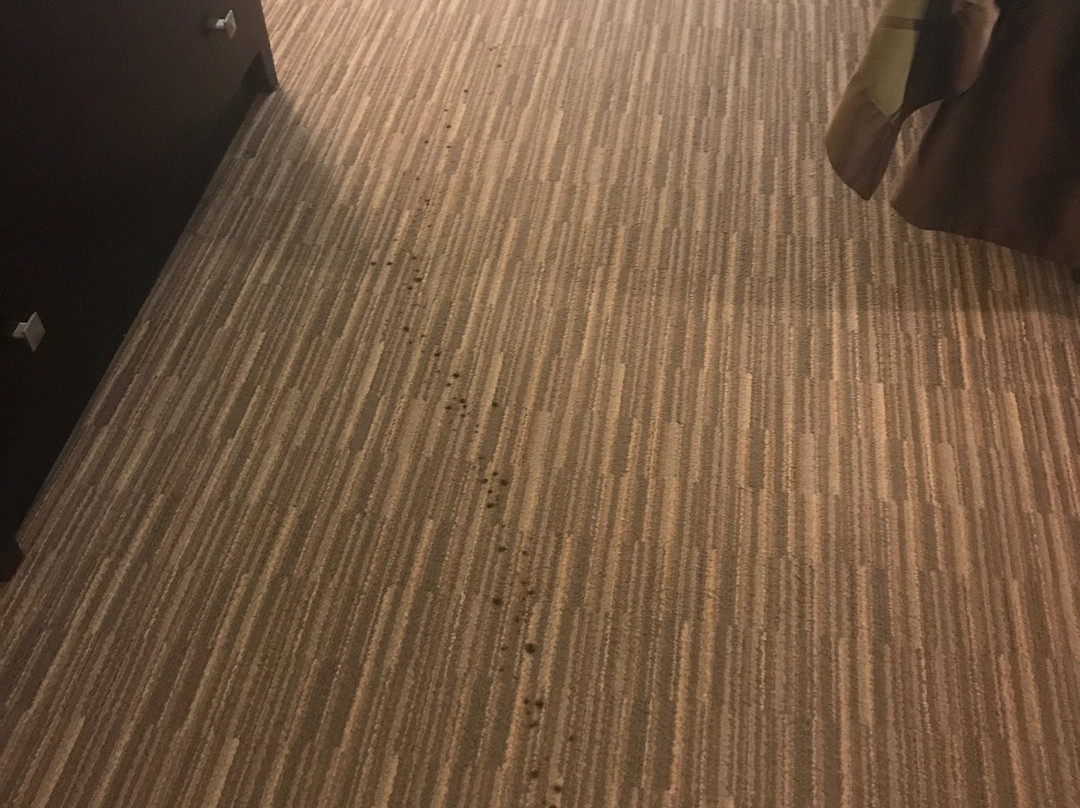 Days Inn By Wyndham Round Rock主图