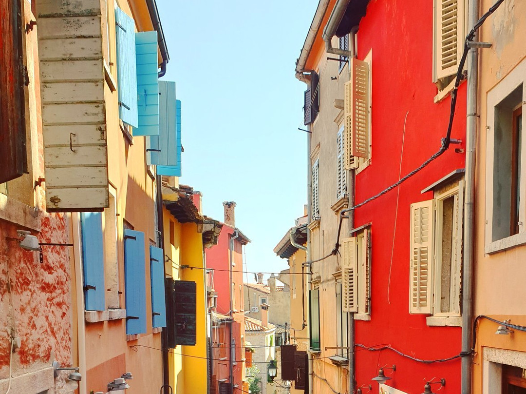 Fish Picnic - Lim Fjord-罗维尼必去景点