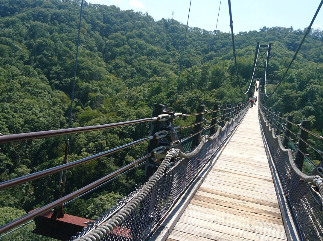Hoshi no Buranko Bridge-交野市必去景点