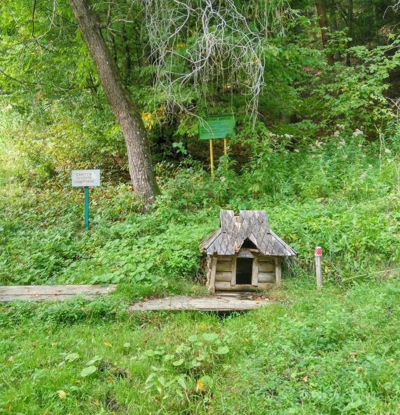 Carpathian Biosphere Reserve景点图片