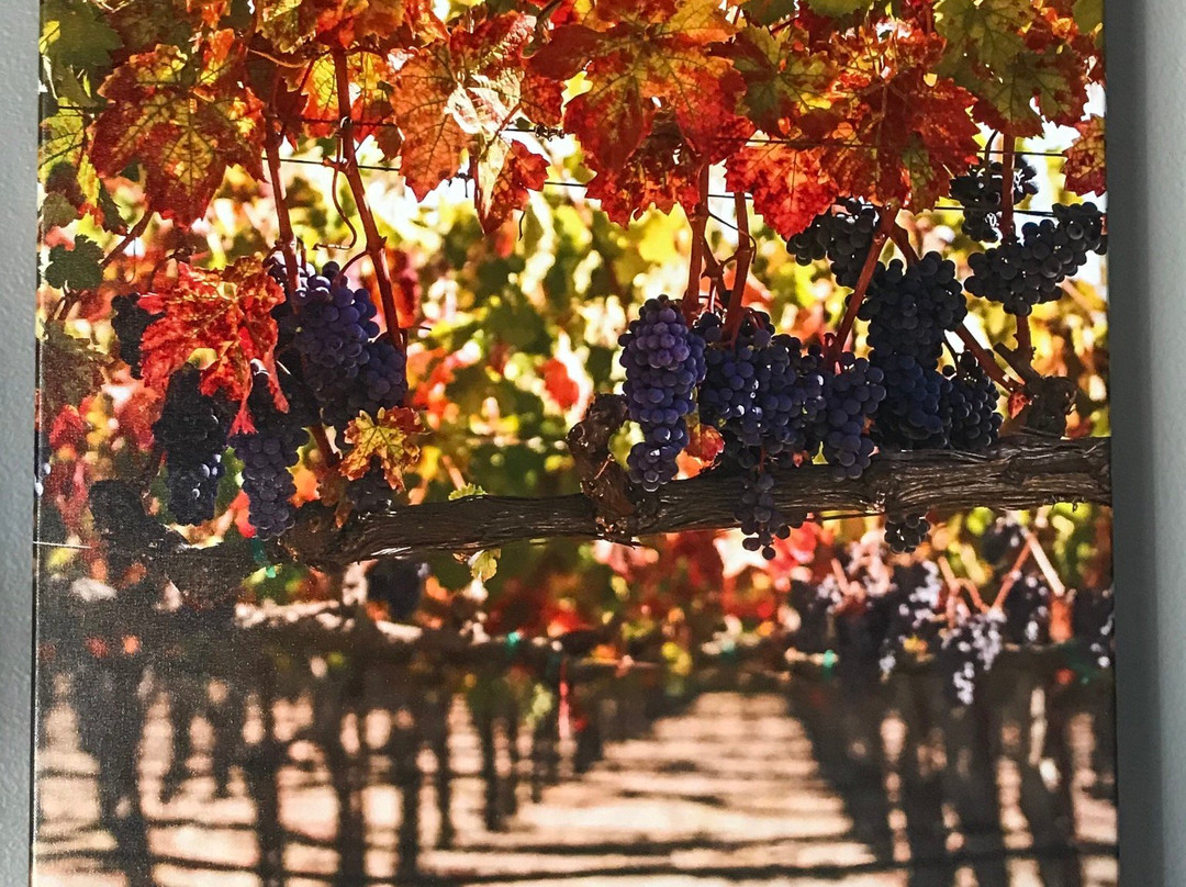 Holiday Inn Windsor - Wine Country By IHG主图