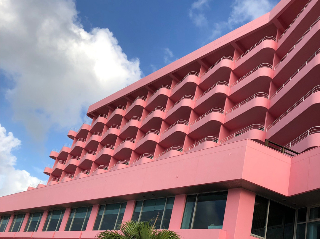 Tanegashima Iwasaki Hotel主图