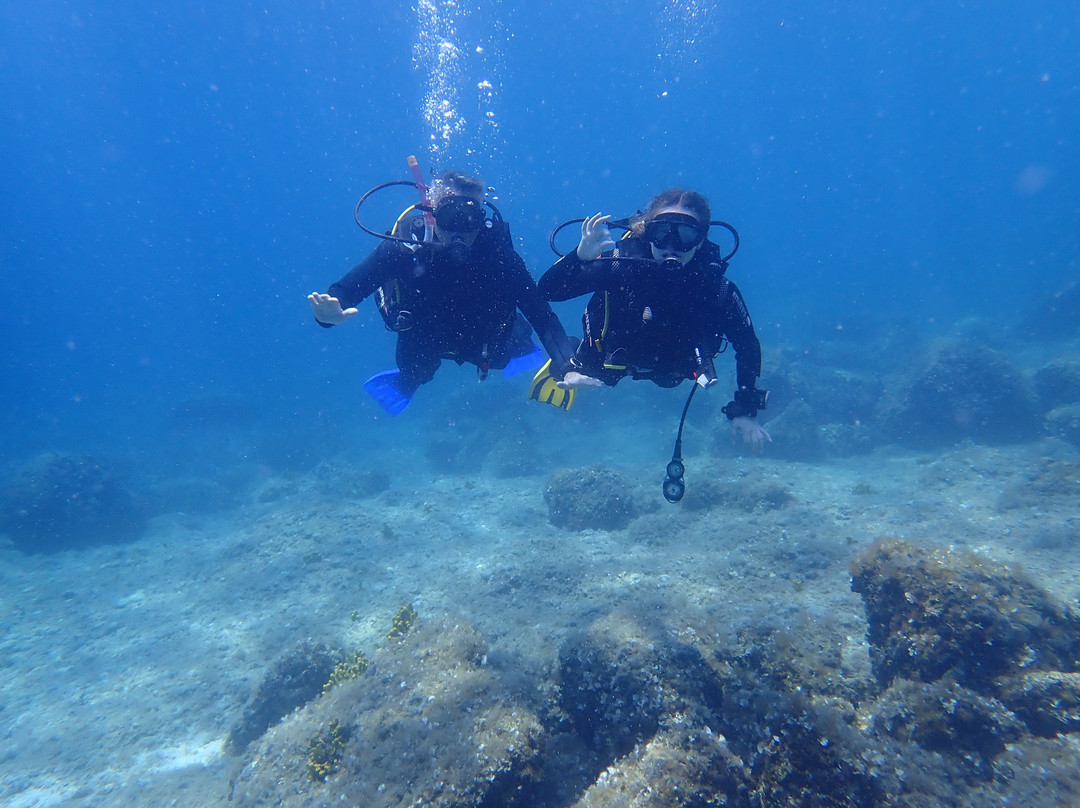 Diving Center Pongo-普莫斯特必去景点