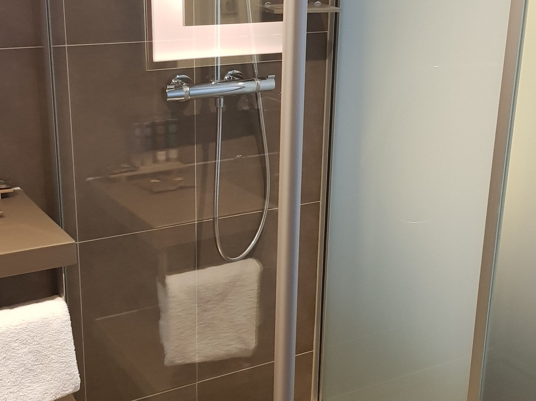 Novotel Paris Saint Denis Stade Basilique主图