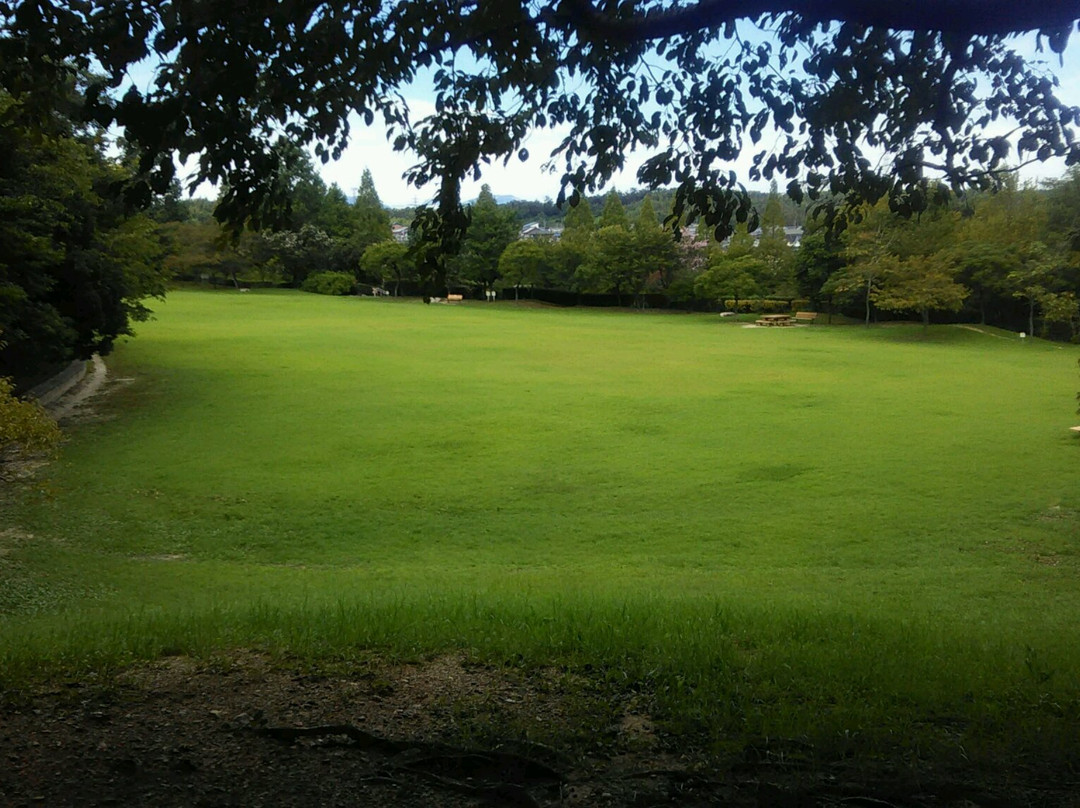 Tarusaka Park景点图片