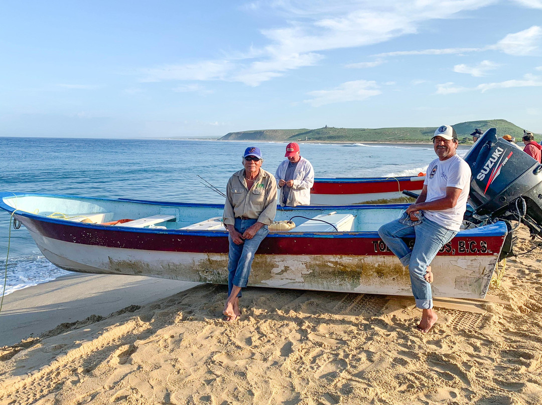 The Baja Whale Watching-拉巴斯必去景点