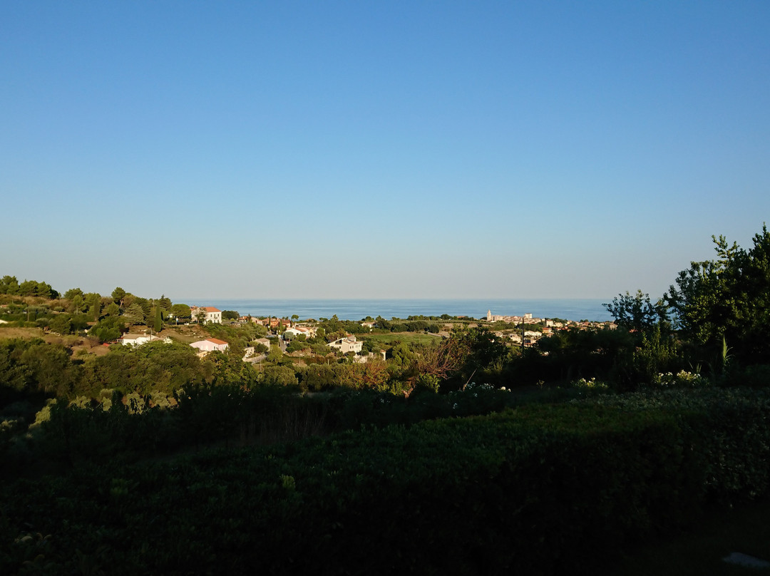 Alle Pendici del Conero主图