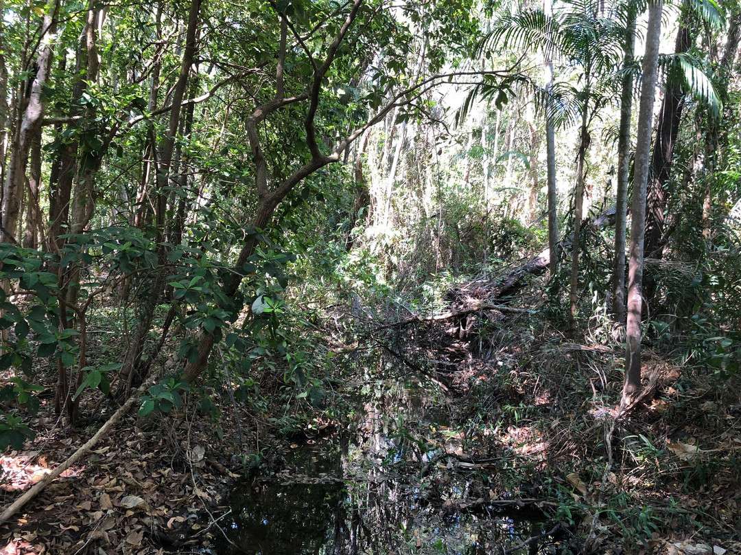 Howard Springs Nature Park景点图片