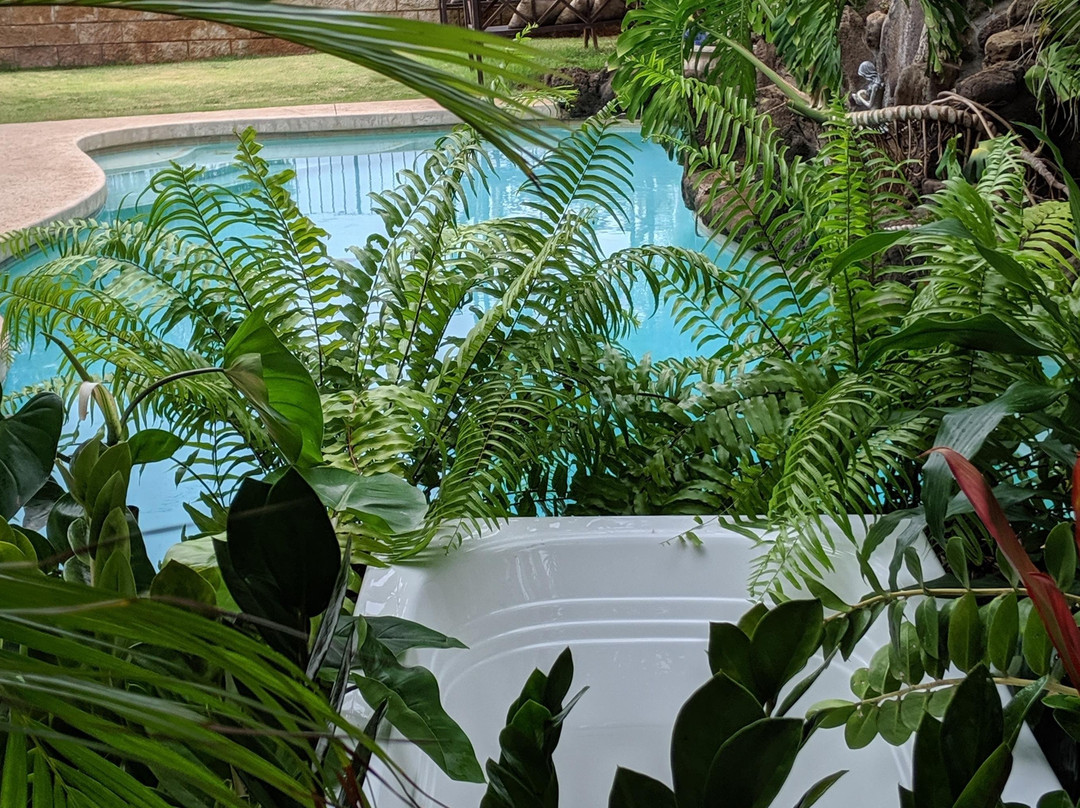 Hawaiian Tropical Pool + Spa Tub景点图片