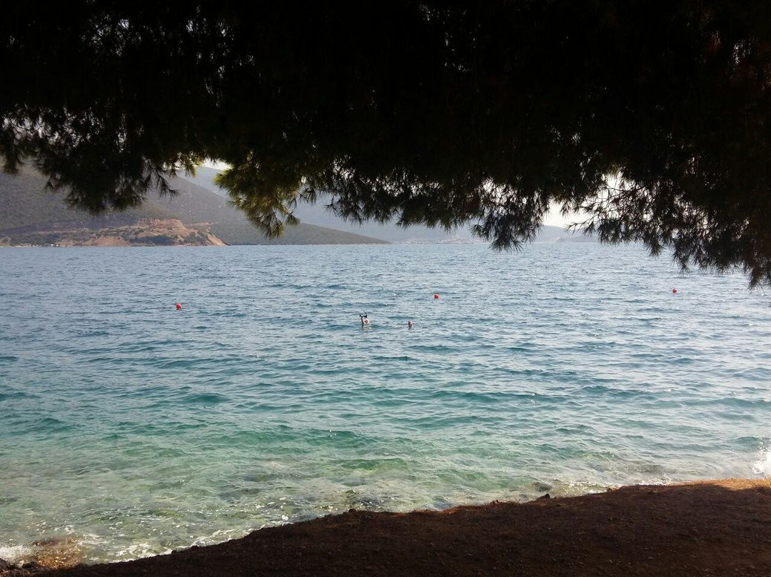 Trizonia Beach Hotel主图