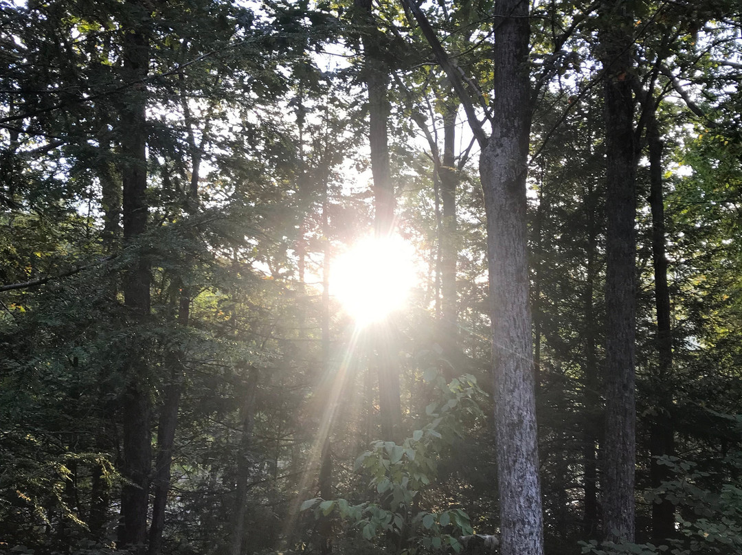 Tuscarora State Park景点图片