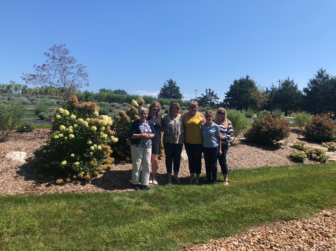 Long Row Lavender-Wright City必去景点