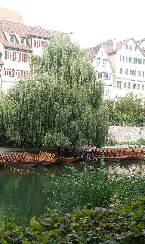 Public Punting Trips景点图片