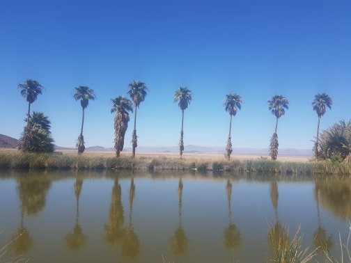 Desert Studies Center景点图片