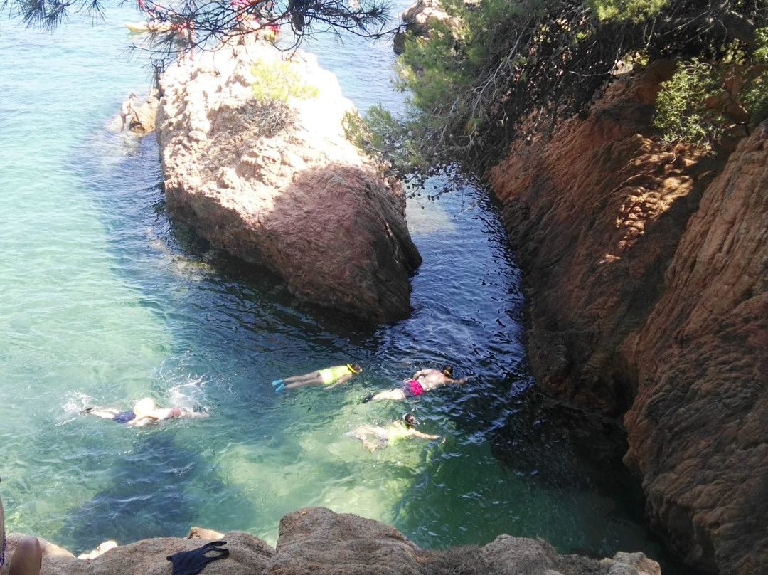 Verd Mar Activitats景点图片