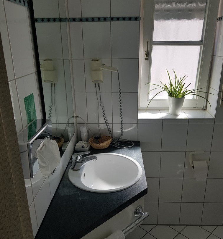 Hotel-Restaurant & Metzgerei Rößle主图