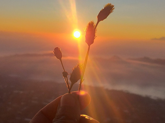 Pranasanti-乌布必去景点