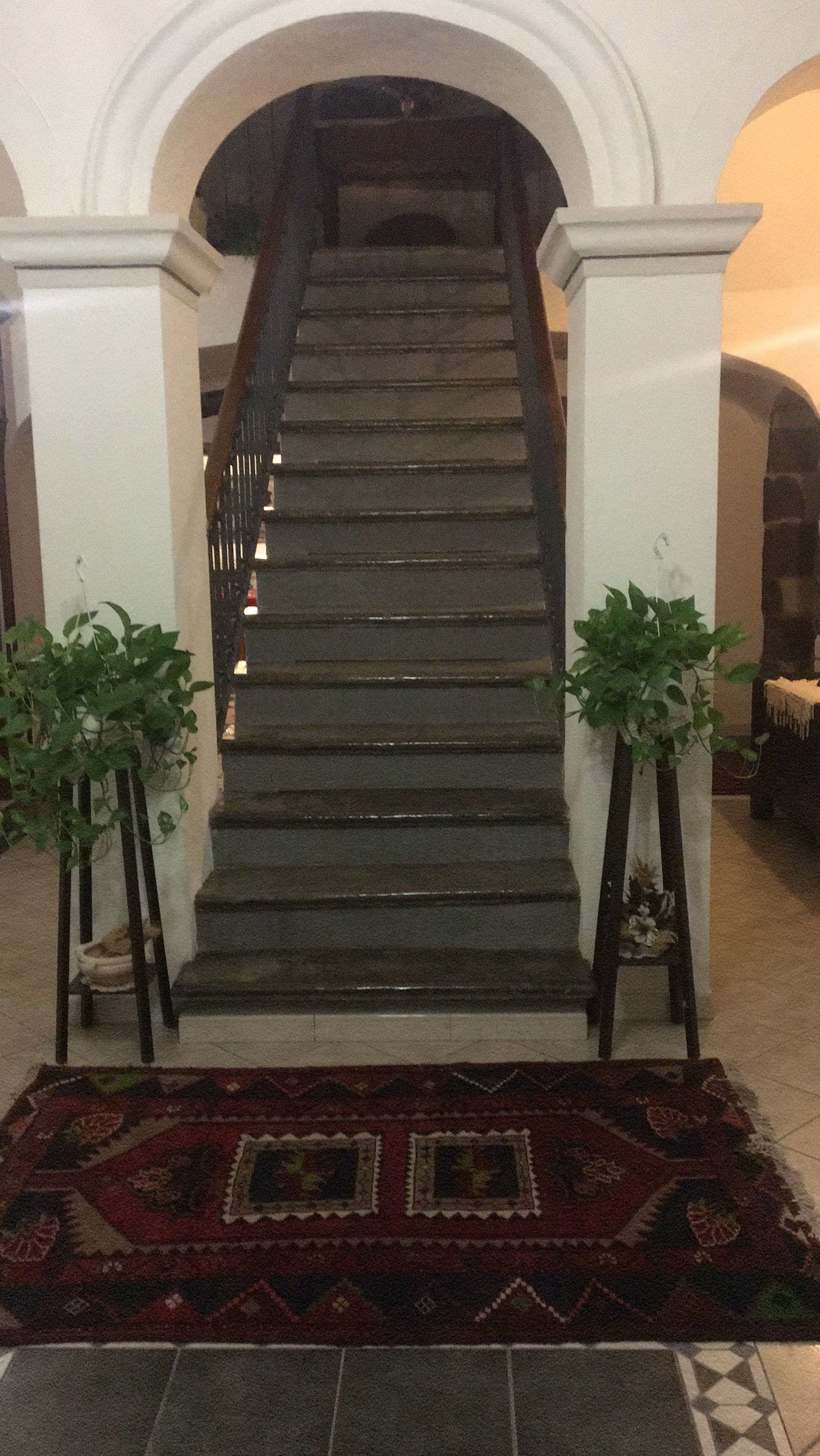 Casa Pisanu-官方