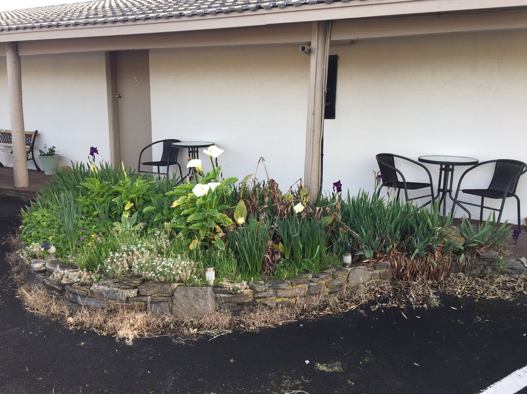 Robe Haven Motel主图