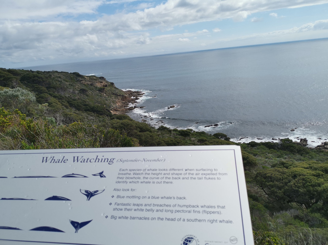 Cape Naturaliste Walking Trails景点图片