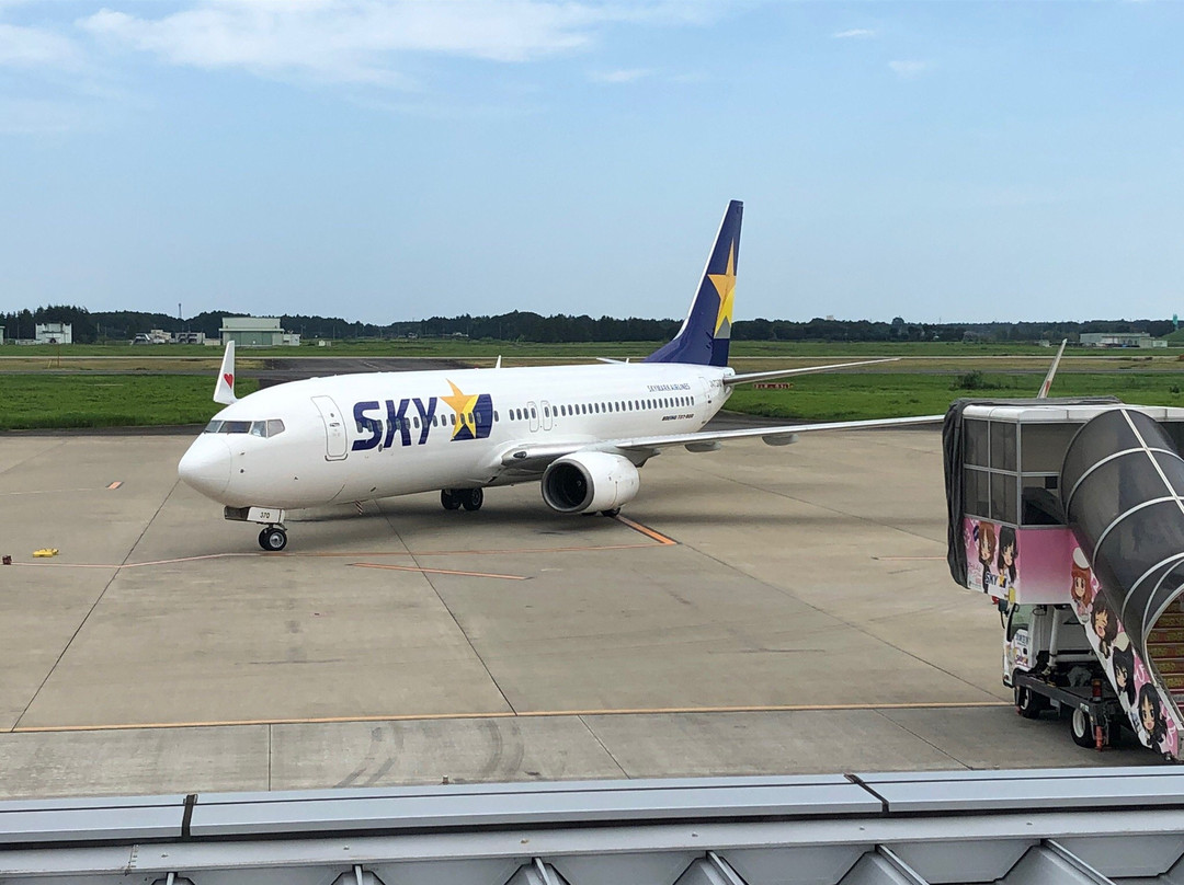 Ibaraki Airport Observation Deck景点图片