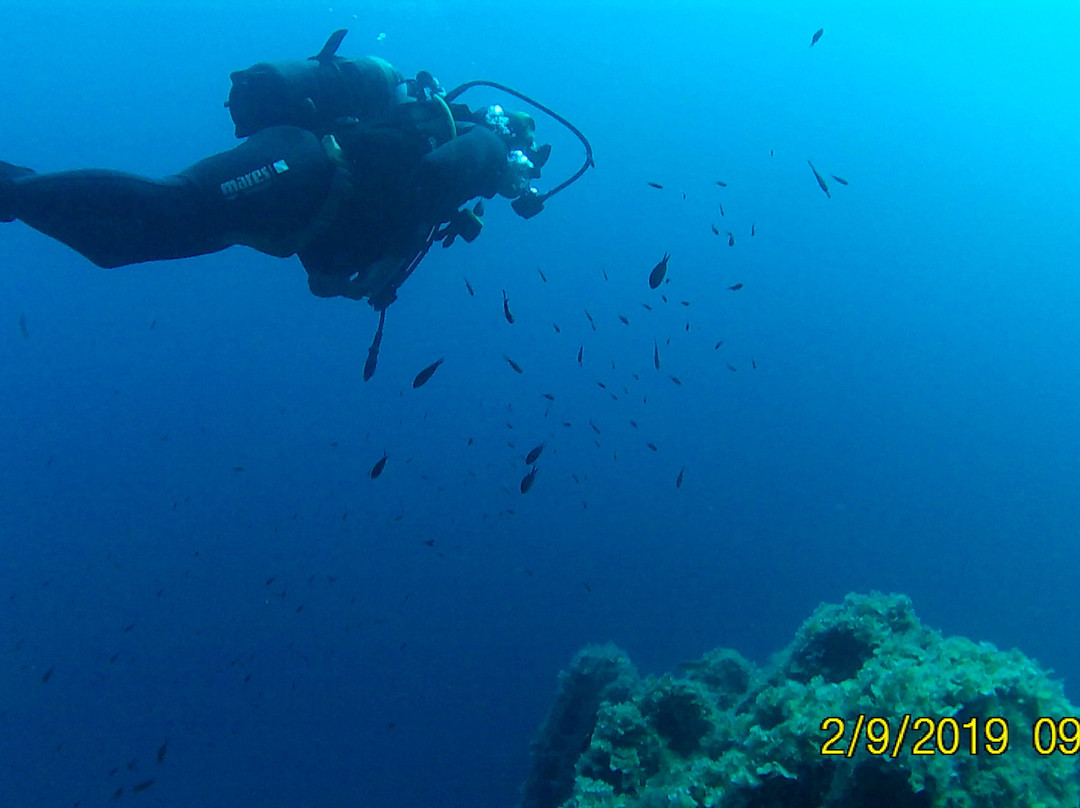 Tavolara Diving Center景点图片