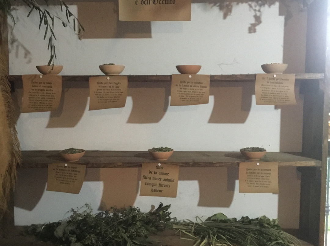 Museo delle Erbe - Viridairum-Teggiano必去景点