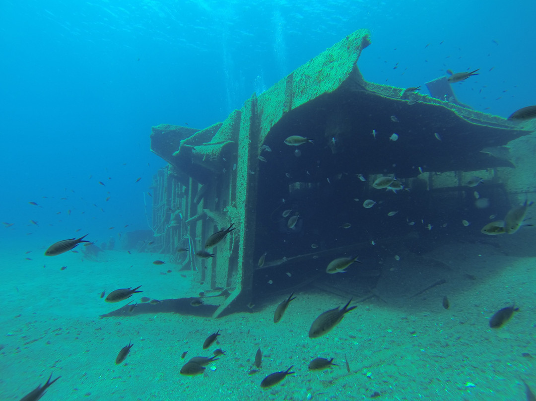 Mare Sud Diving Center
