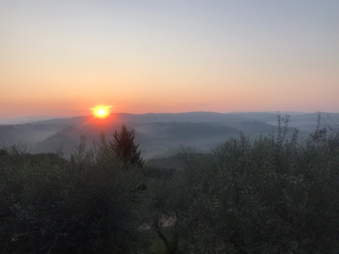 Agriturismo la Villa Romita主图