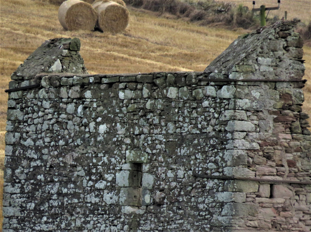 Corston Tower景点图片