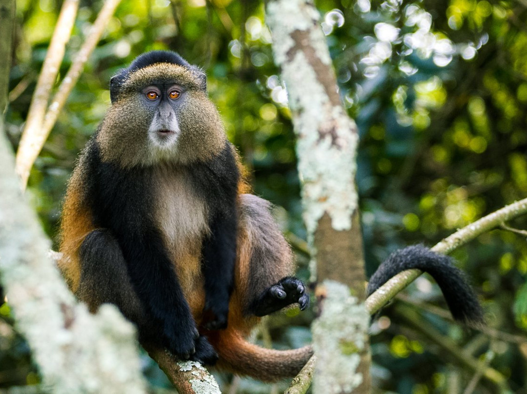 GreTours-恩德培必去景点