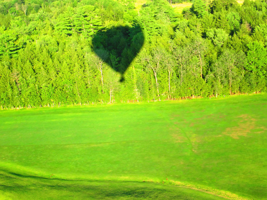 Above Reality Inc. Hot Air Balloon Rides景点图片