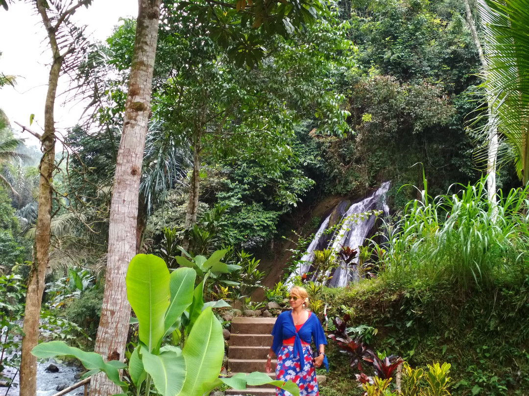 Goa Giri Campuhan \Waterfall-Tembuku必去景点