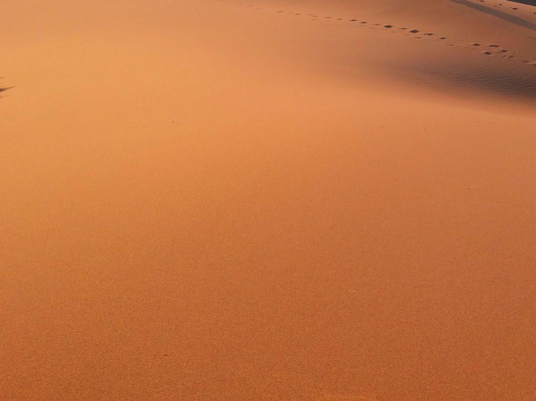 Desert Erg Chigaga-Kasr Bounou必去景点