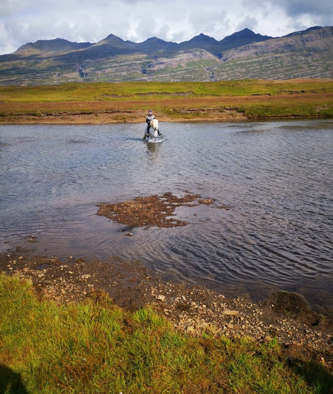 Fell Horse Rental-Breiddalsvik必去景点