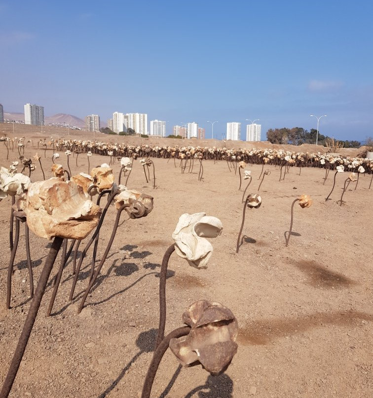 Ruinas de Huanchaca-安托法加斯塔必去景点