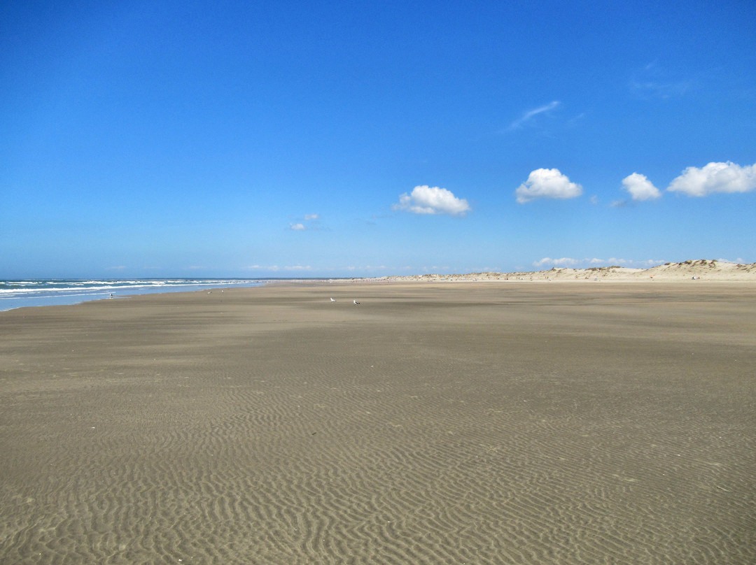 Plage de Vert Bois景点图片