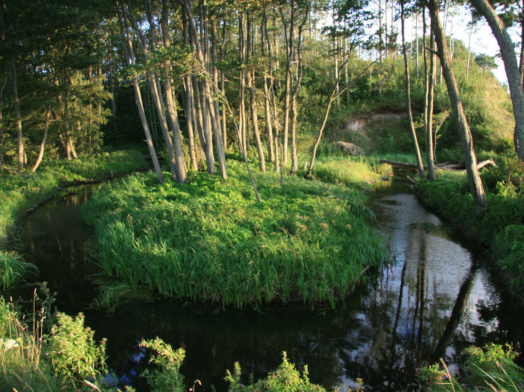 Liedags Guesthouse主图