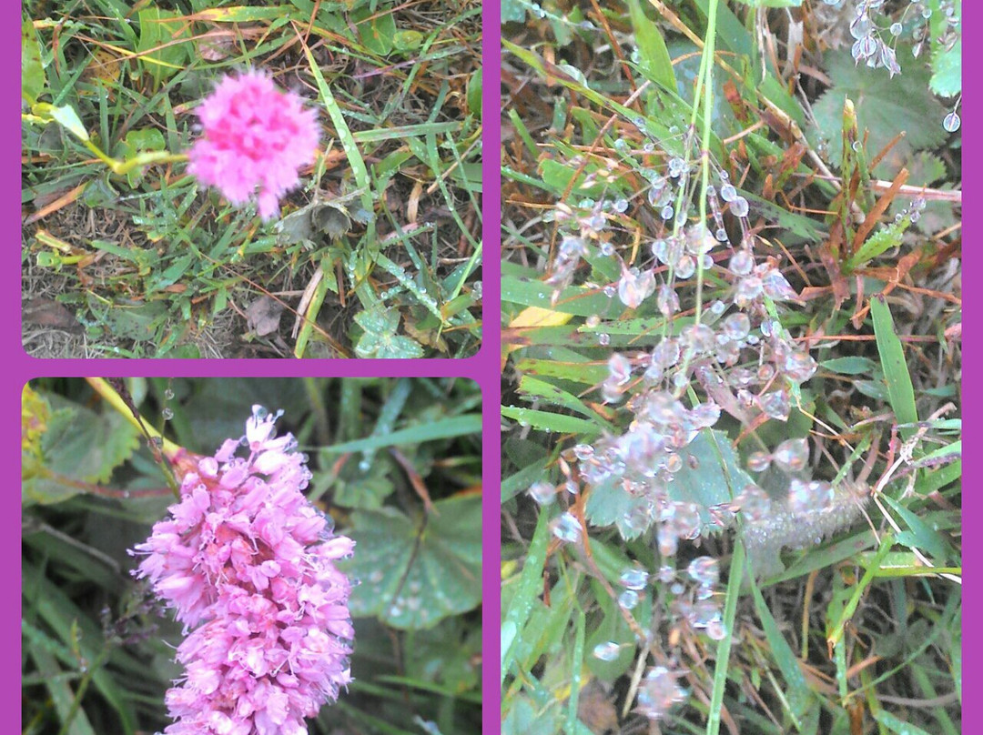 Hotel Kardelen主图