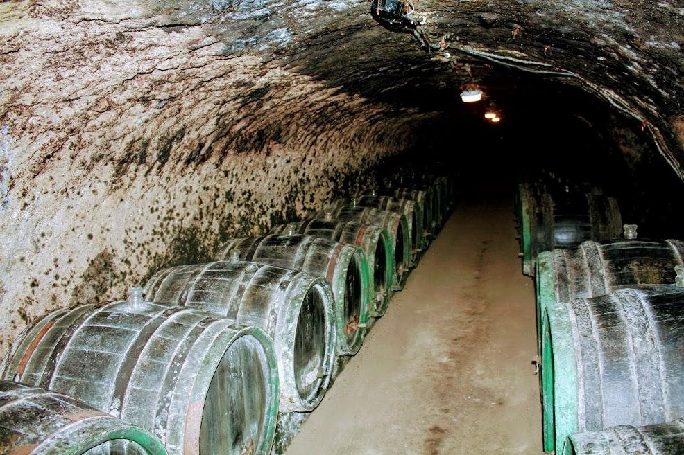 Wine tours in Tokaj wine region. Hungary & Slovakia景点图片