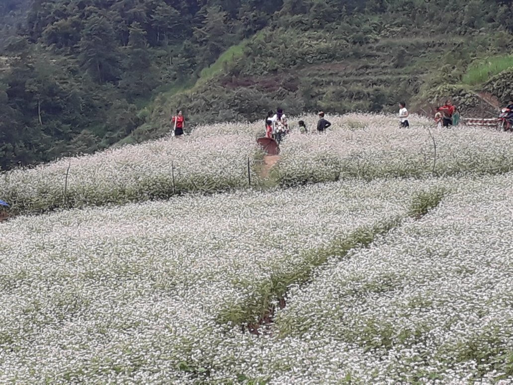 Trekking Ha Giang景点图片