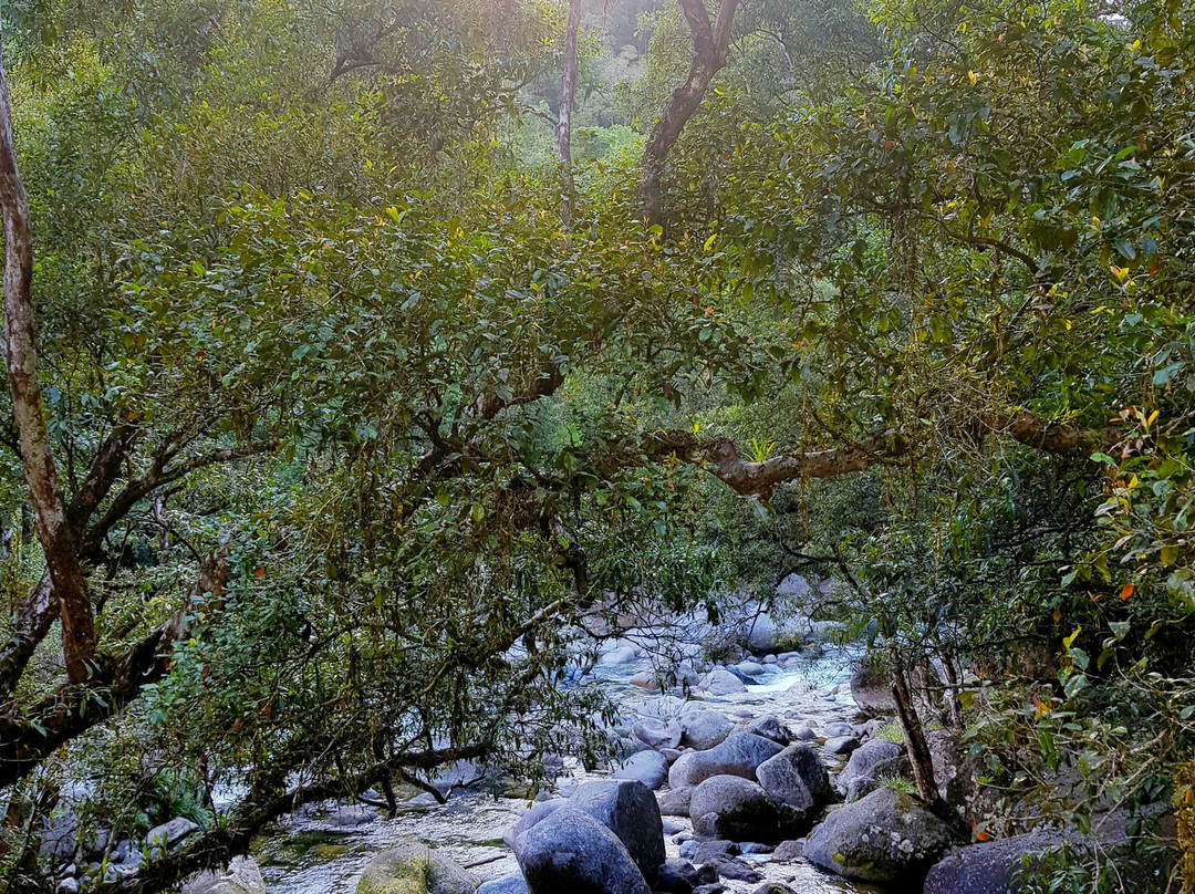 Mossman Gorge Cultural Centre-丹特里区必去景点