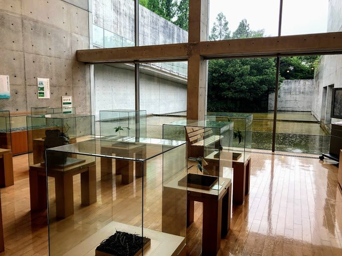 Yokogurayama Shizen no Mori Museum-越知町必去景点